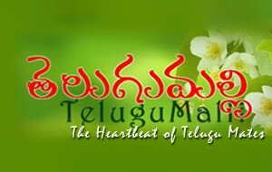 Telugu Malli